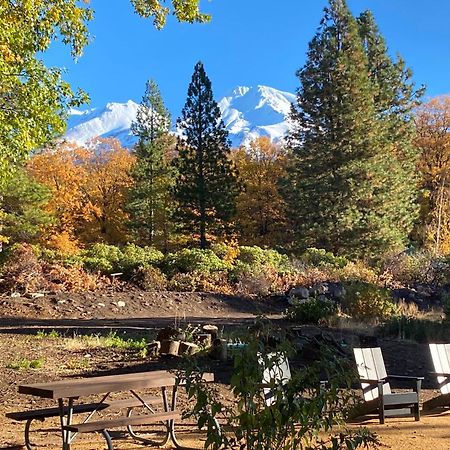 Basecamp Lodge موونت شاستا المظهر الخارجي الصورة
