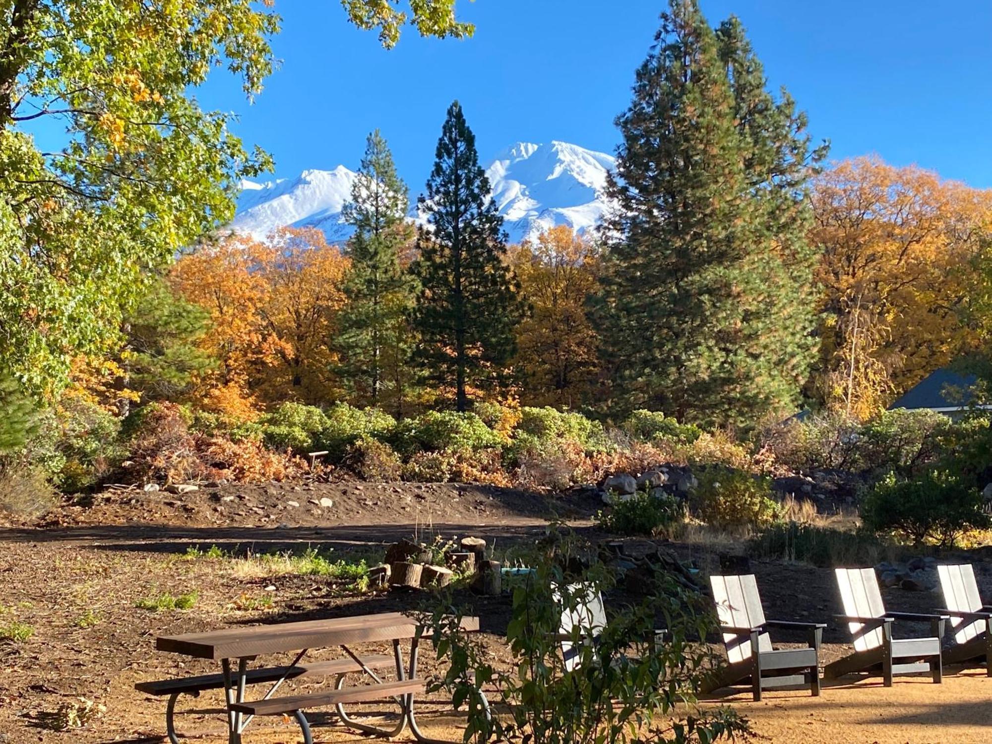 Basecamp Lodge موونت شاستا المظهر الخارجي الصورة
